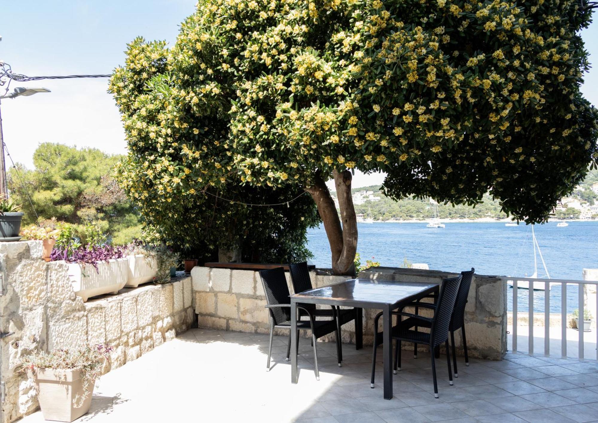 Apartman Radosic Đảo Hvar Ngoại thất bức ảnh