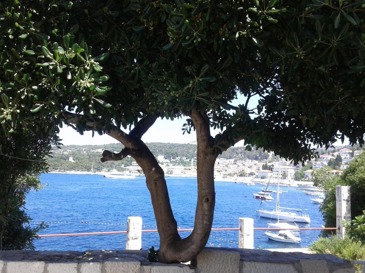 Apartman Radosic Đảo Hvar Ngoại thất bức ảnh